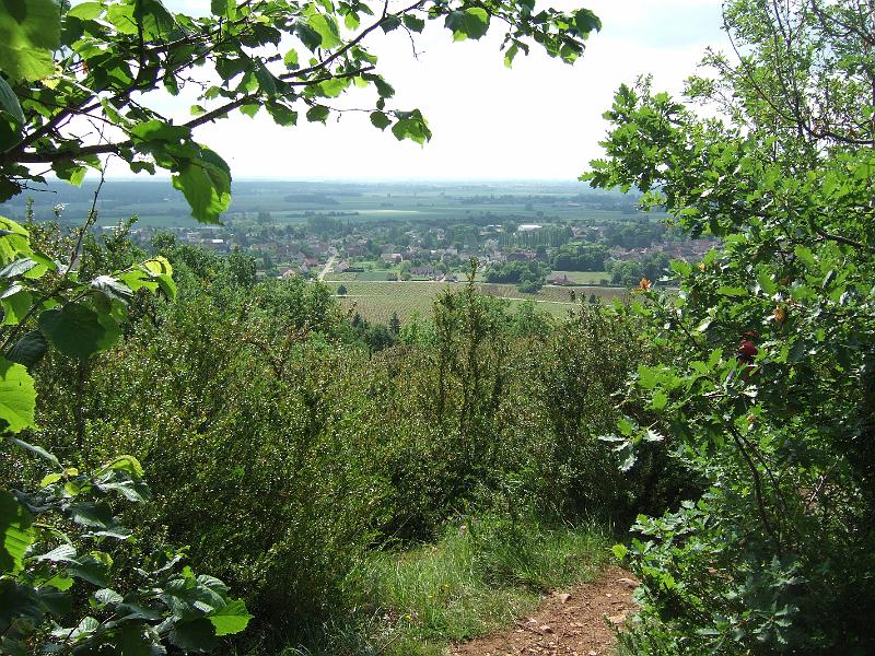 2010-05- (25).JPG - Beim Abstieg schöne Sicht auf Rully